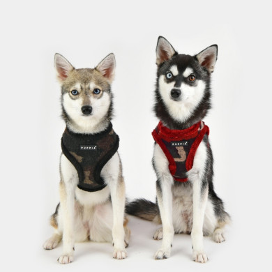 COLONEL HARNESS B COLONEL HARNESS B