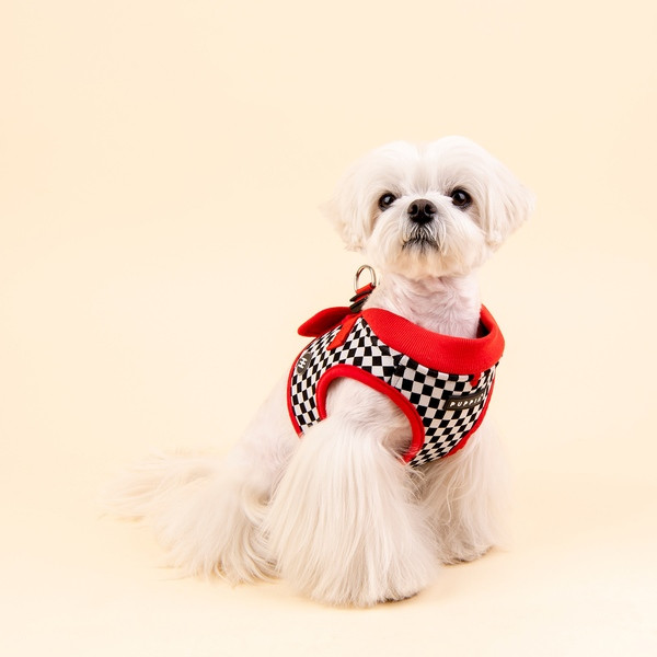 RACER HARNESS B RACER HARNESS B