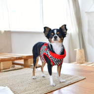 RACER HARNESS B RACER HARNESS B