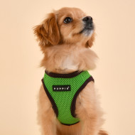 SOFT VEST HARNESS B II - PUPPIA - Softgeschirr SOFT VEST HARNESS B II - PUPPIA - Softgeschirr