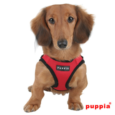 SOFT VEST HARNESS B SOFT VEST HARNESS B