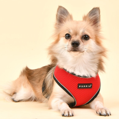 SOFT HARNESS PRO - PUPPIA - Softgeschirr SOFT HARNESS PRO - PUPPIA - Softgeschirr