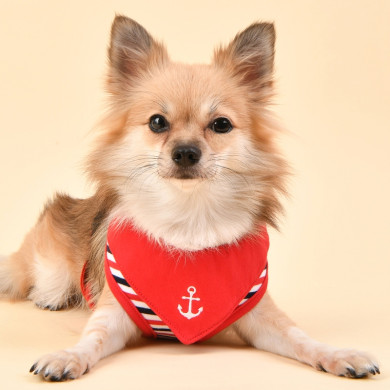 SEAMAN HARNESS A SEAMAN HARNESS A