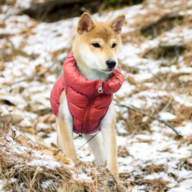ULTRALIGHT VEST A ULTRALIGHT VEST A