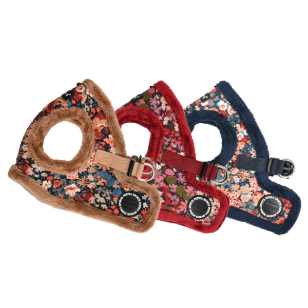 GIANNI HARNESS B - PUPPIA