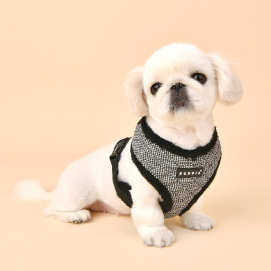 GASPAR HARNESS A GASPAR HARNESS A