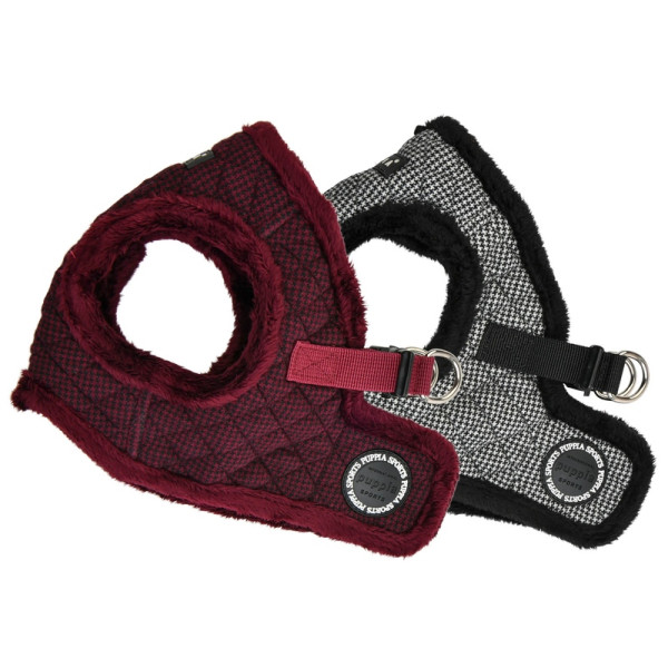 GASPAR HARNESS B - PUPPIA