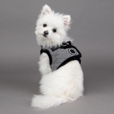 GASPAR HARNESS B GASPAR HARNESS B