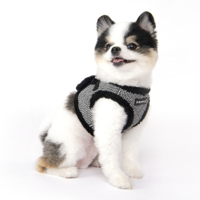 GASPAR HARNESS B GASPAR HARNESS B