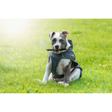 FINN Regenjacke mit Geschirr FINN Regenjacke mit Geschirr