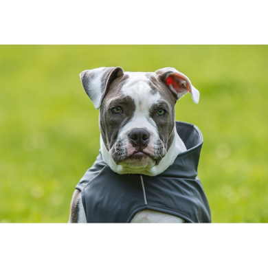 FINN Regenjacke mit Geschirr FINN Regenjacke mit Geschirr