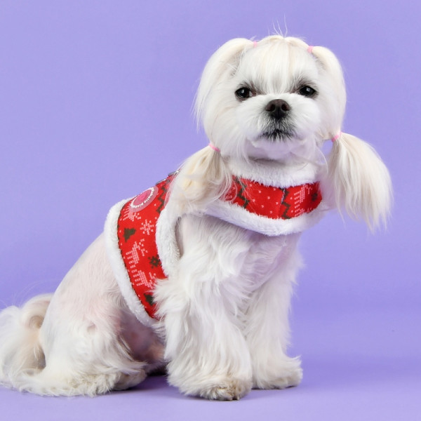 NOELLE PINKA HARNESS