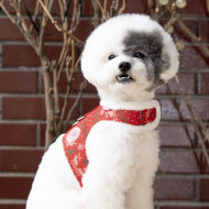 NOELLE PINKA HARNESS