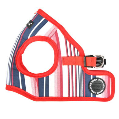 CAIDEN HARNESS B CAIDEN HARNESS B