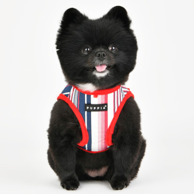 CAIDEN HARNESS B CAIDEN HARNESS B