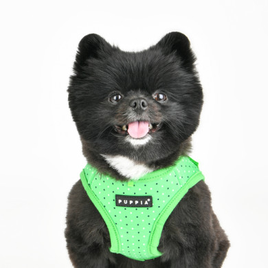 BONNIE HARNESS B BONNIE HARNESS B