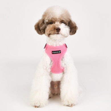 SOFT SUPERIOR HARNESS A SOFT SUPERIOR HARNESS A
