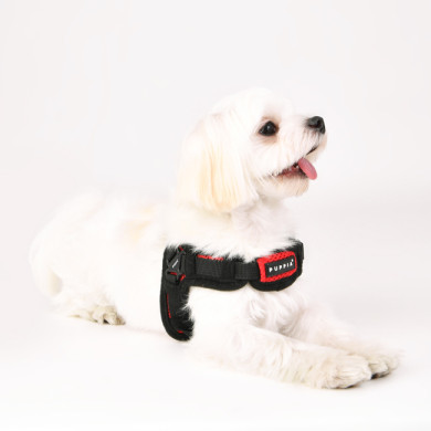 SOFT HARNESS X SOFT HARNESS X