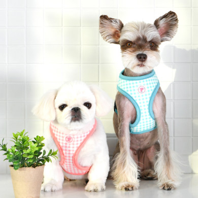 ALAIA HARNESS ALAIA HARNESS