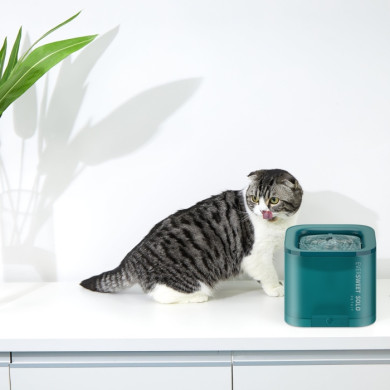 PETKIT Trinkbrunnen SOLO 1.85l PETKIT Trinkbrunnen SOLO 1.85l