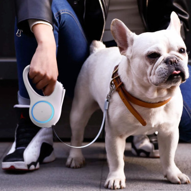 PETKIT Rollleine mit Licht 3m